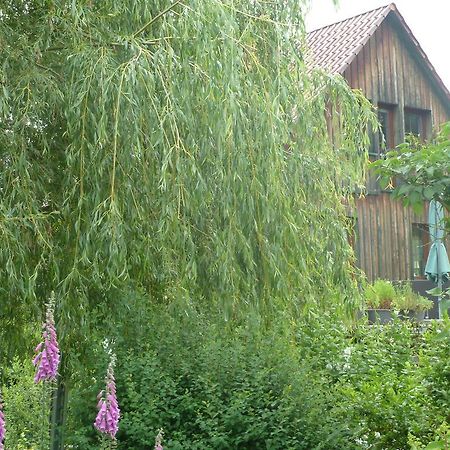 Ferienwohnung Lotti Brotterode Pokoj fotografie